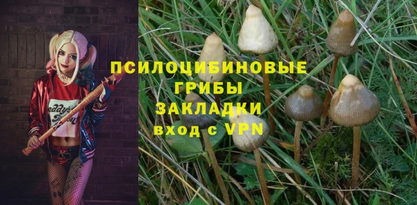 шишки Нея
