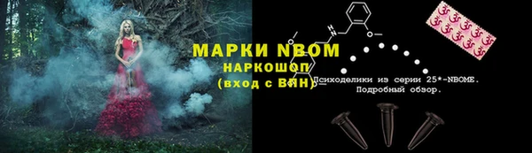 шишки Нея