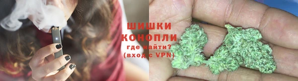 шишки Нея