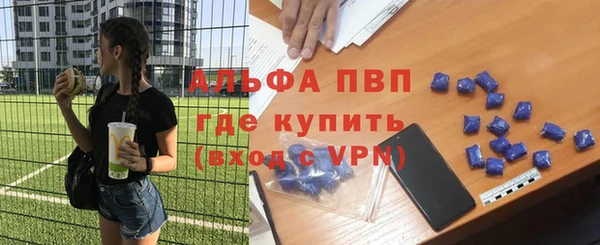 шишки Нея
