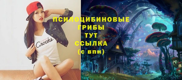 ПСИЛОЦИБИНОВЫЕ ГРИБЫ Нефтекумск