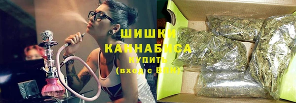 шишки Нея