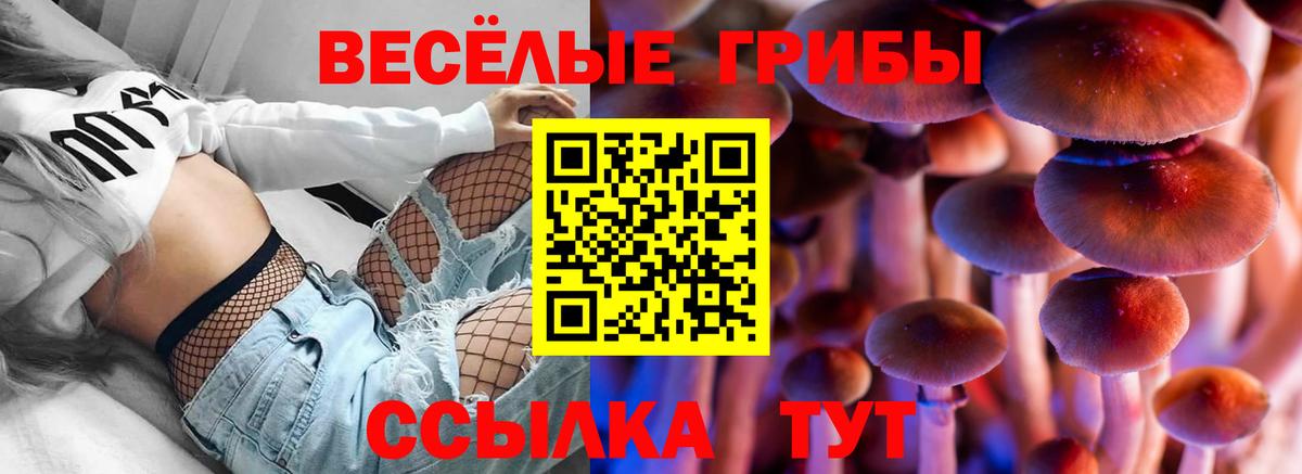 Галлюциногенные грибы MAGIC MUSHROOMS  Вход с VPN  Галлюциногенные грибы мухоморы  Смоленск 